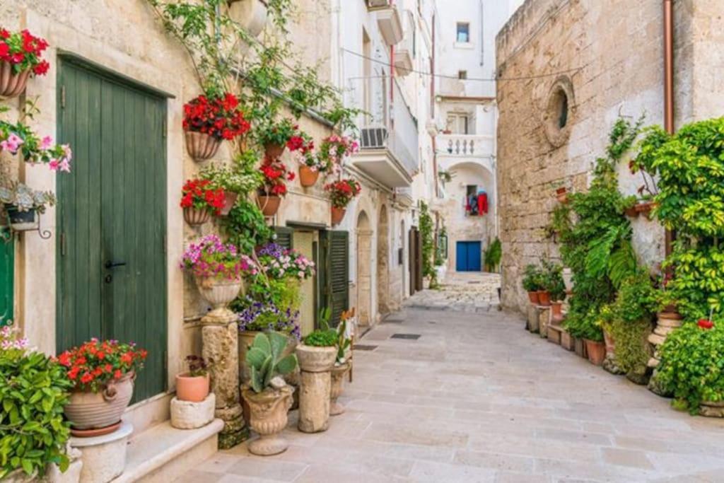 Il Mare In Citta. Appartamento Vista Mare Monopoli Kültér fotó